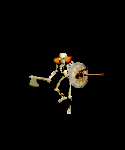 Skeleton.png