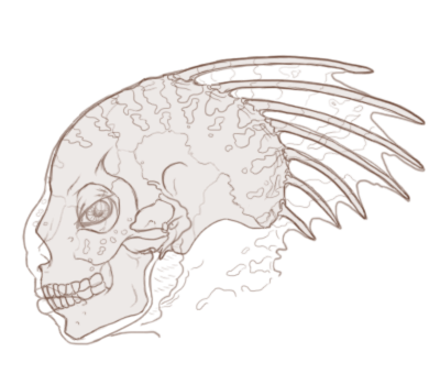 Fin and skull structure of a guromescai head.